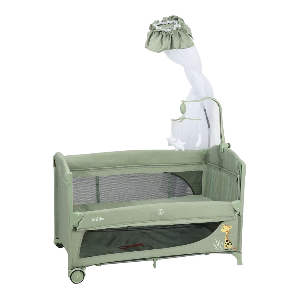 Shtrat Kidilo Palues - T704L
