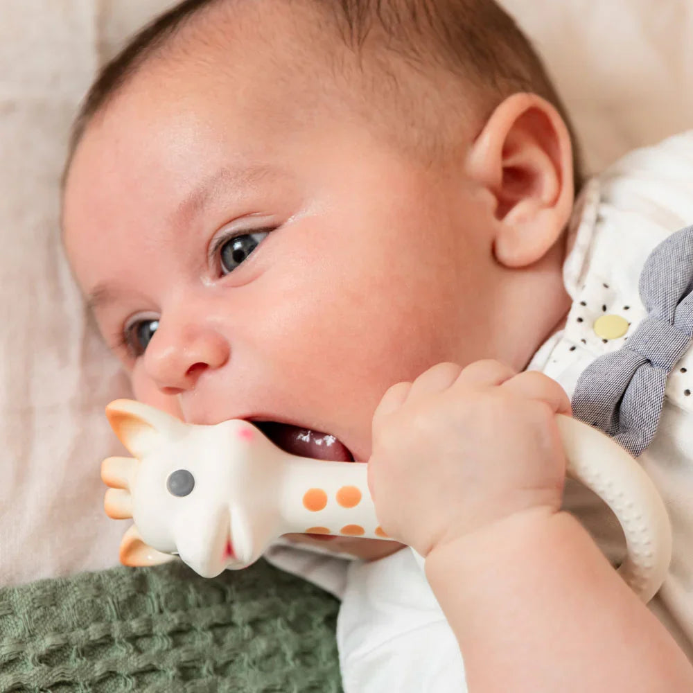 Kruajtëse dhëmbësh Sophie la Girafe - Modeli 3