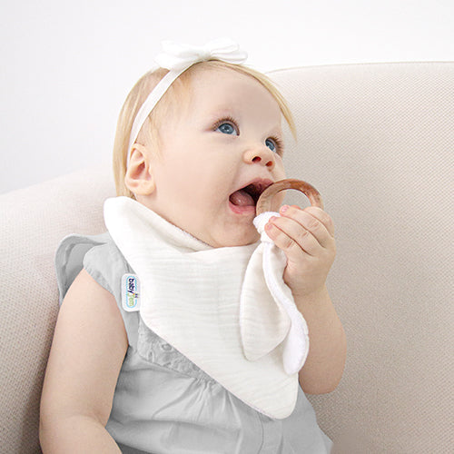 Përparëse me Unazë Druri