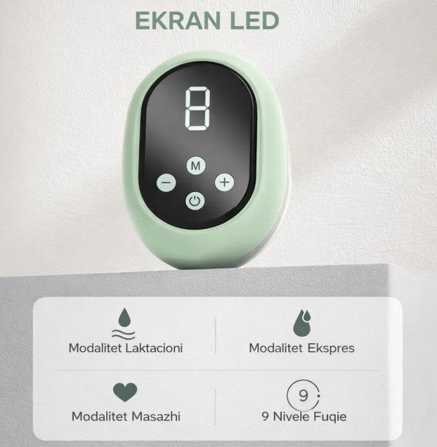 Pompë Gjiri Elektrike Portative RH-268