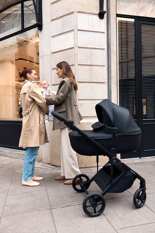 Karrocë Anex Eli 2n1, carrycot + seat